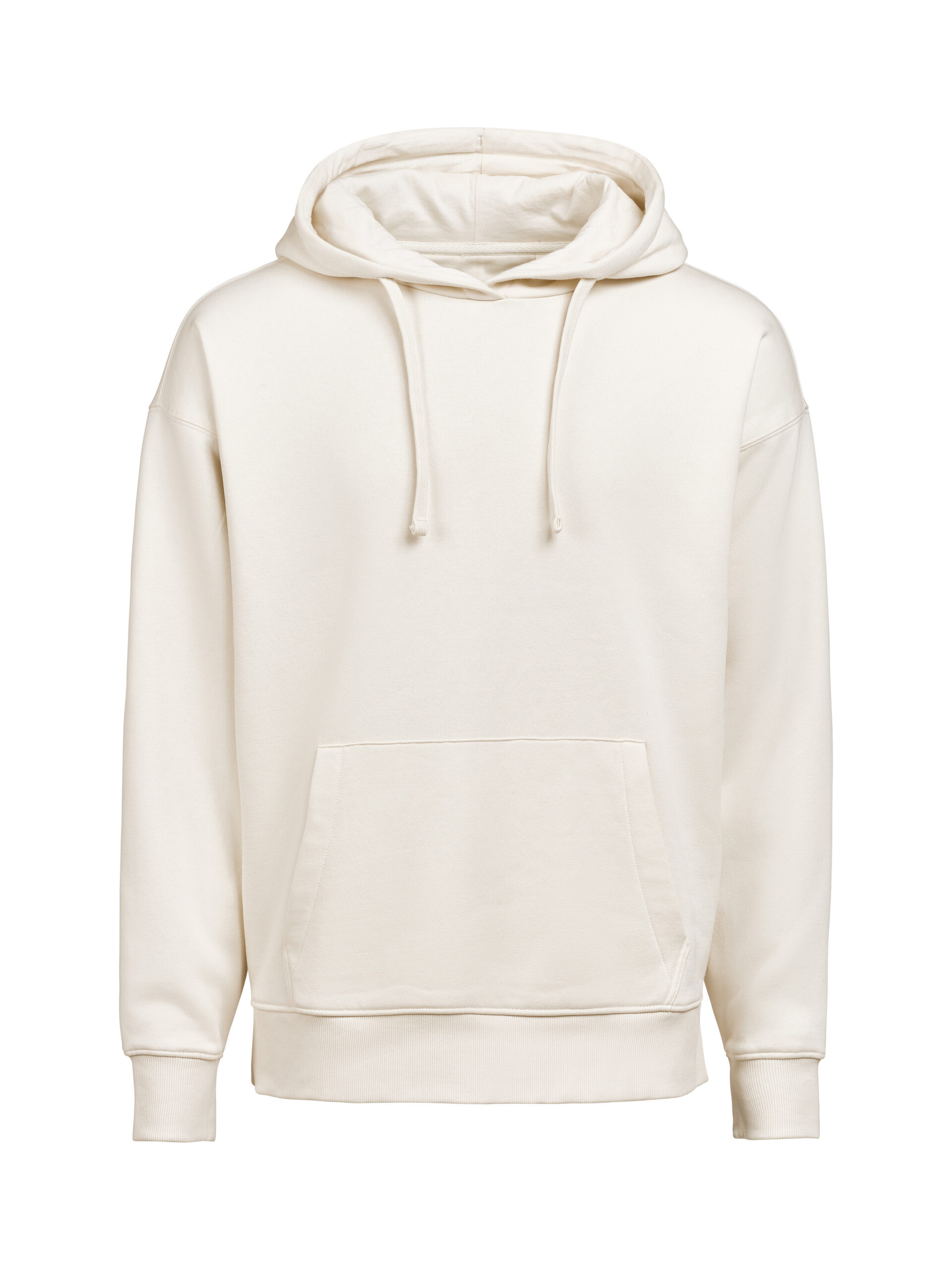 hoodie (ocs rcs) loose fit untagged movement um3440020 birch, xxs